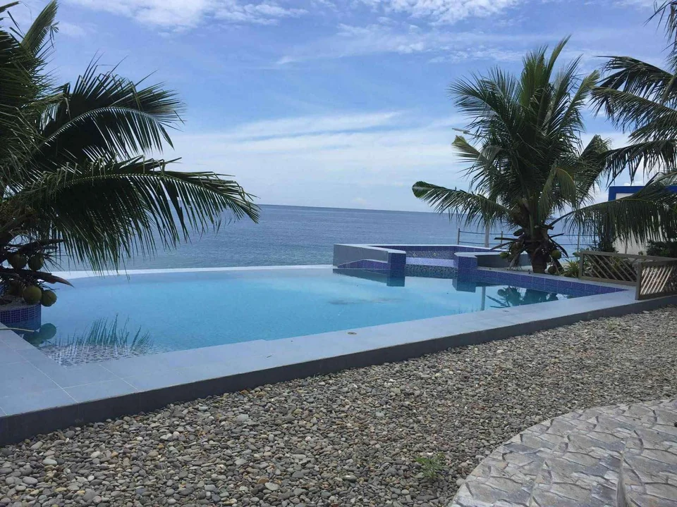 Coconut palms and the sea beyond the resort pool